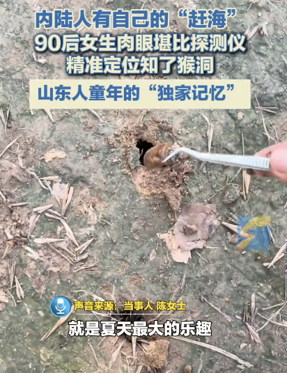 女生挖知了猴精准定位一抓一个准