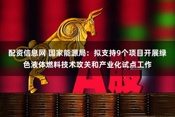 配资信息网 国家能源局：拟支持9个项目开展绿色液体燃料技术攻关和产业化试点工作